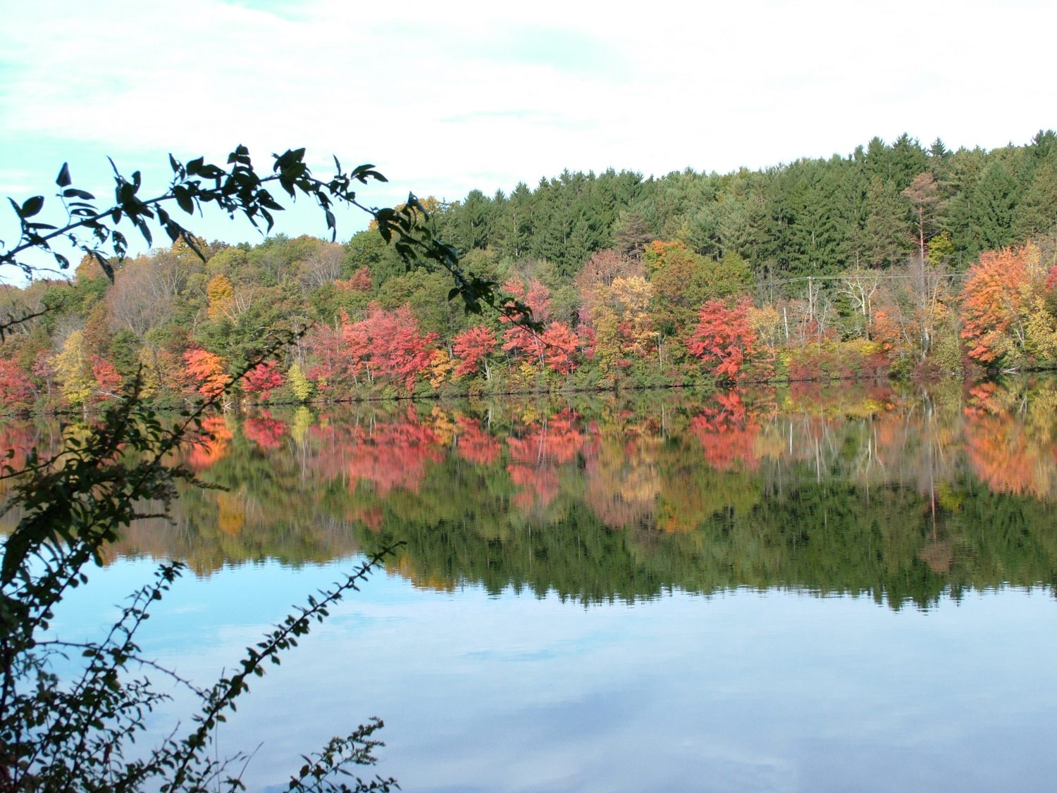 fall foliage near water